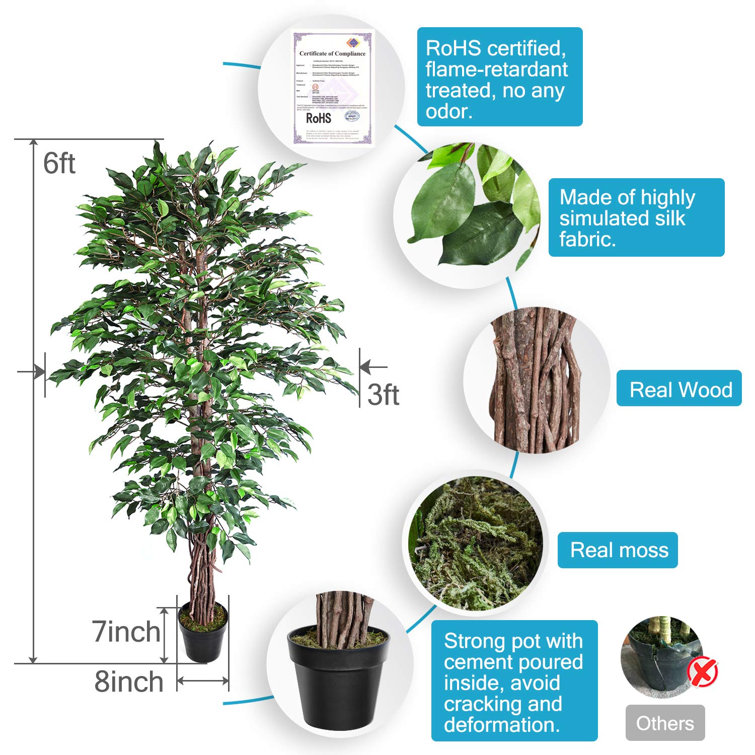 Primrue 70'' Faux Moss Tree in Freestanding Wayfair Canada